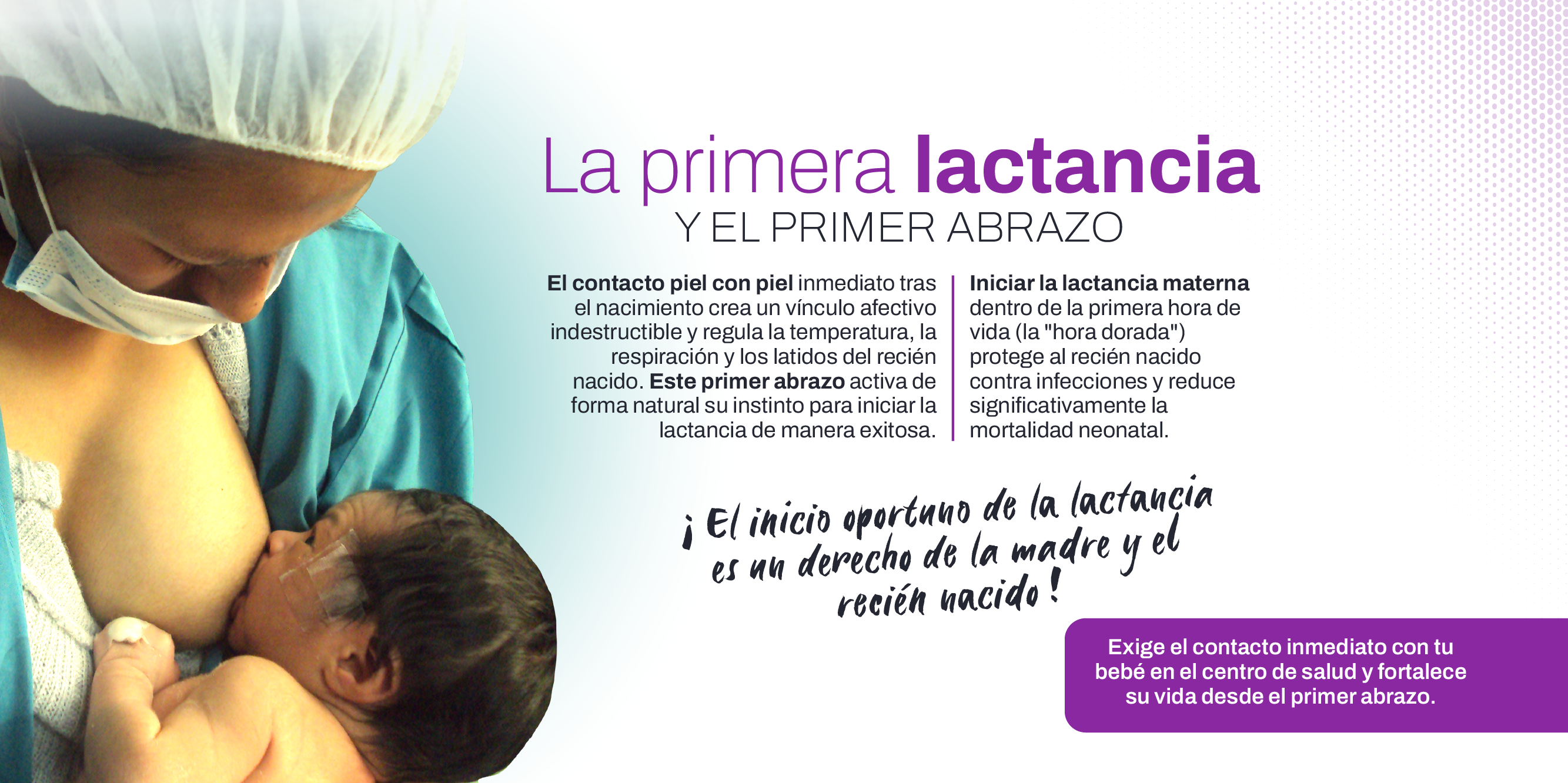 para web 2.png